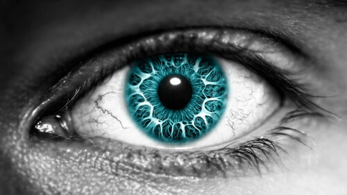 004---Wallpapereyes-4---6a40691ed3bc32499.jpg