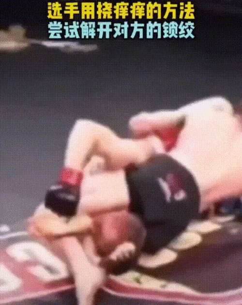 640-6db442cd6aa27ed46.gif