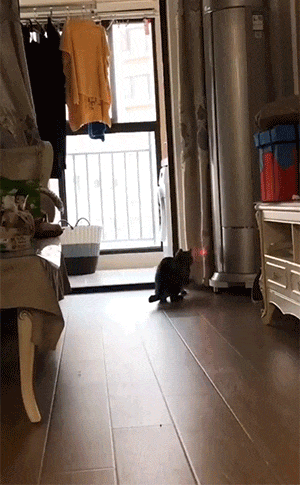 640-2b337c5d62264b95b.gif