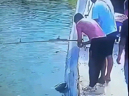 640-7fb2aef3fc60569ae.gif