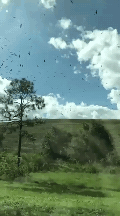 640-12dc532727e3fef84.gif
