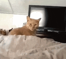 640-136aedbb189a4051c0.gif