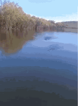 640-144933c42399129432.gif