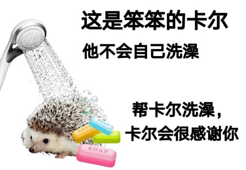v2-03fe9b575adbb1417c5aea73f22759c0_rad03fa90a4025fa9.jpg
