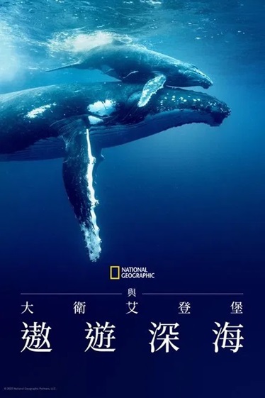 [纪录片] 大卫·爱登堡：海洋.2025.英语中英双字.1080P[2.98G] 【来源：赤道365论坛】 帖子ID:51881 