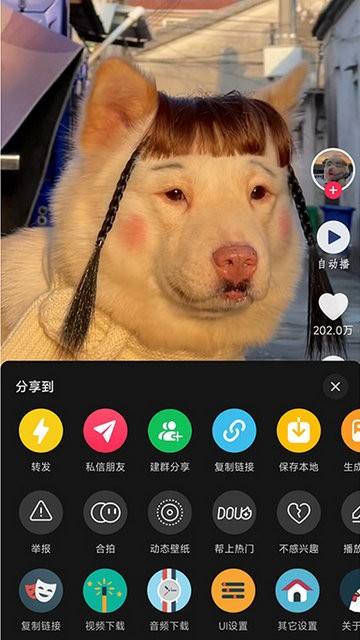 1749777473166 9TZNpEkV6o