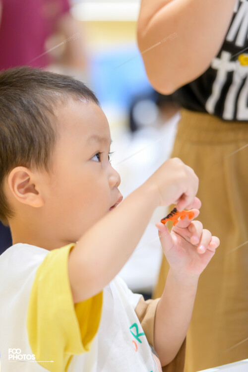 FooPhotos_0618-LG77729f015f94c5d9.jpg