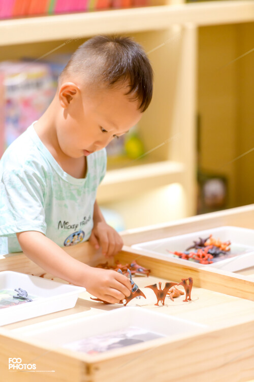 FooPhotos_0746-LG5e84b7bb5a6b8dba.jpg